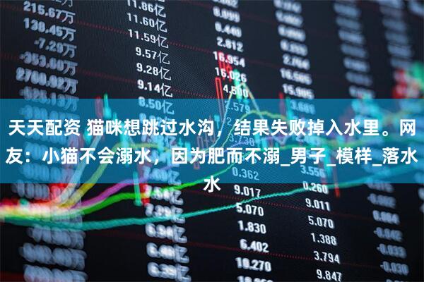 天天配资 猫咪想跳过水沟，结果失败掉入水里。网友：小猫不会溺水，因为肥而不溺_男子_模样_落水