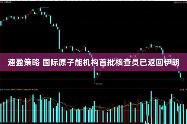 速盈策略 国际原子能机构首批核查员已返回伊朗